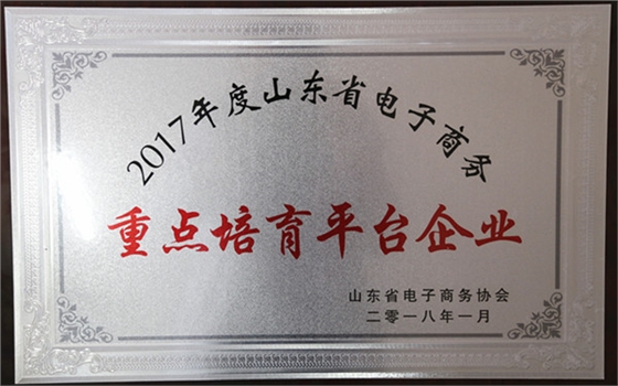 山东省电子商务沉点造就平台企业.jpg